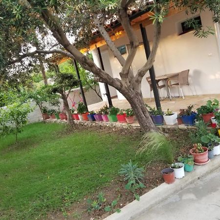 Vila Sita Vlore Luaran gambar